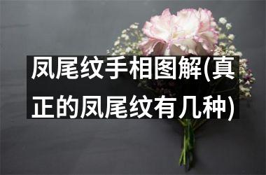 <h3>凤尾纹手相图解(真正的凤尾纹有几种)