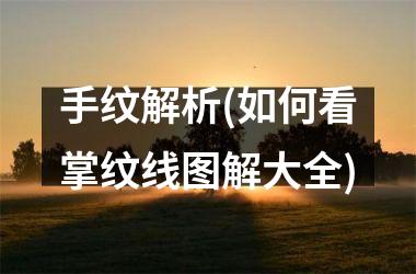 手纹解析(如何看掌纹线图解大全)