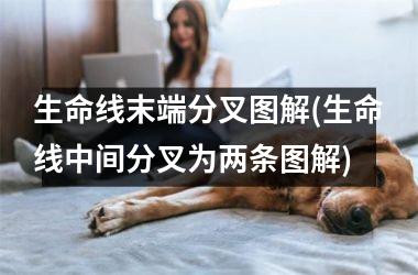 <h3>生命线末端分叉图解(生命线中间分叉为两条图解)