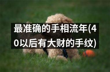 准确的手相流年(40以后有大财的手纹)