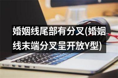 婚姻线尾部有分叉(婚姻线末端分叉呈开放Y型)