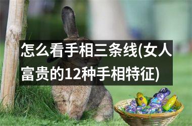 <h3>怎么看手相三条线(女人富贵的12种手相特征)