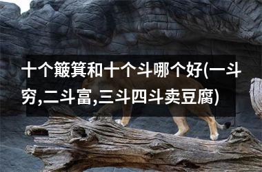 十个簸箕和十个斗哪个好(一斗穷,二斗富,三斗四斗卖豆腐)