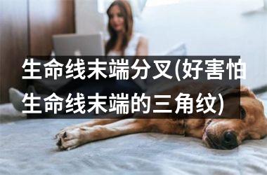 生命线末端分叉(好害怕生命线末端的三角纹)