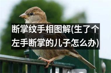 断掌纹手相图解(生了个左手断掌的儿子怎么办)