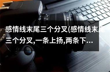 <h3>感情线末尾三个分叉(感情线末尾三个分叉,一条上扬,两条下降)