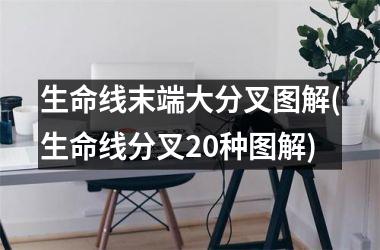 生命线末端大分叉图解(生命线分叉20种图解)