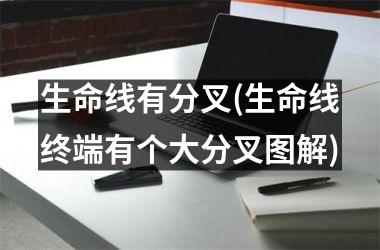 <h3>生命线有分叉(生命线终端有个大分叉图解)