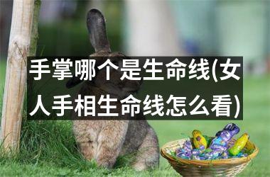 <h3>手掌哪个是生命线(女人手相生命线怎么看)