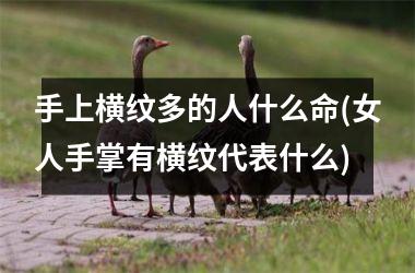 手上横纹多的人什么命(女人手掌有横纹代表什么)