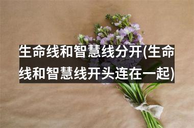 生命线和智慧线分开(生命线和智慧线开头连在一起)