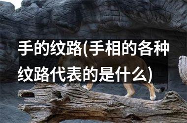 手的纹路(手相的各种纹路代表的是什么)