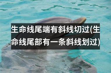 <h3>生命线尾端有斜线切过(生命线尾部有一条斜线划过)
