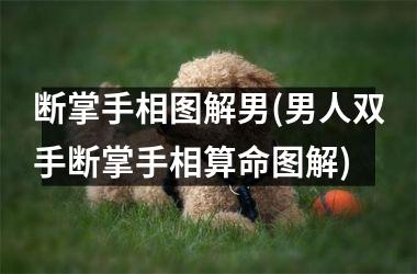 断掌手相图解男(男人双手断掌手相算命图解)