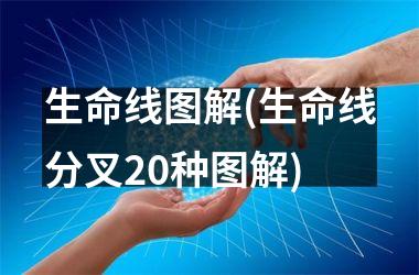 <h3>生命线图解(生命线分叉20种图解)