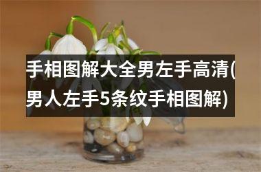 <h3>手相图解大全男左手高清(男人左手5条纹手相图解)
