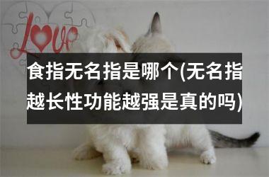 食指无名指是哪个(无名指越长性功能越强是真的吗)