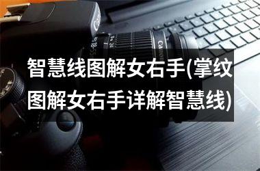 智慧线图解女右手(掌纹图解女右手详解智慧线)