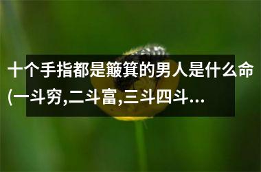 <h3>十个手指都是簸箕的男人是什么命(一斗穷,二斗富,三斗四斗卖豆腐)