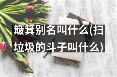 簸箕别名叫什么(扫垃圾的斗子叫什么)