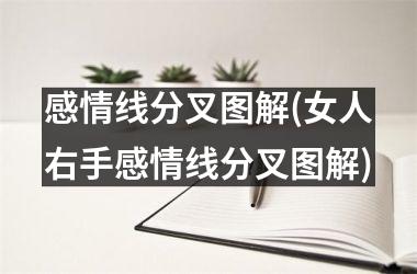 感情线分叉图解(女人右手感情线分叉图解)