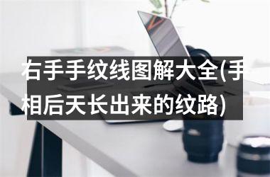 右手手纹线图解大全(手相后天长出来的纹路)
