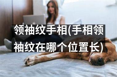领袖纹手相(手相领袖纹在哪个位置长)