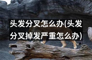 头发分叉怎么办(头发分叉掉发严重怎么办)