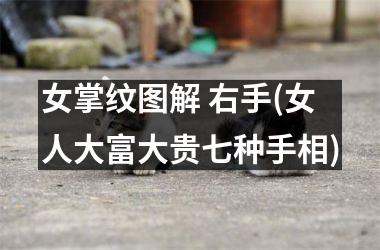 女掌纹图解 右手(女人大富大贵七种手相)