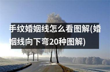 <h3>手纹婚姻线怎么看图解(婚姻线向下弯20种图解)
