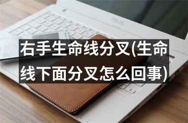 <h3>右手生命线分叉(生命线下面分叉怎么回事)