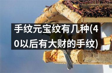 手纹元宝纹有几种(40以后有大财的手纹)