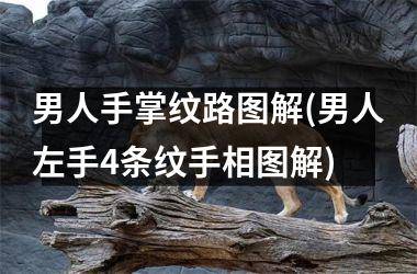 男人手掌纹路图解(男人左手4条纹手相图解)