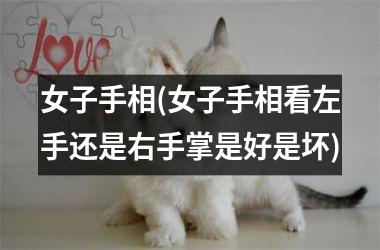 <h3>女子手相(女子手相看左手还是右手掌是好是坏)