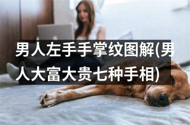 男人左手手掌纹图解(男人大富大贵七种手相)