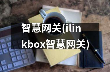 <h3>智慧网关(ilinkbox智慧网关)