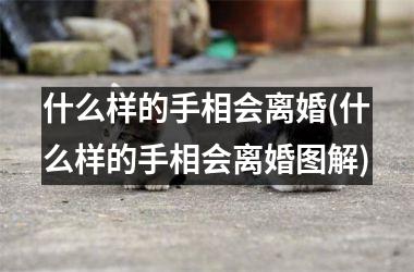 什么样的手相会离婚(什么样的手相会离婚图解)