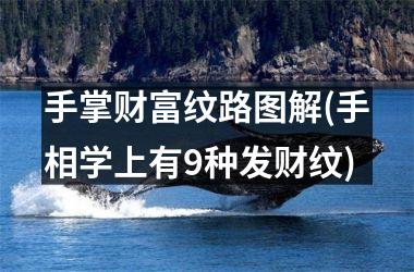手掌财富纹路图解(手相学上有9种发财纹)