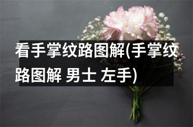 <h3>看手掌纹路图解(手掌纹路图解 男士 左手)