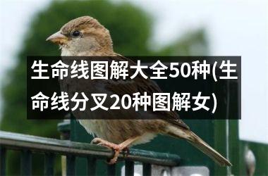 生命线图解大全50种(生命线分叉20种图解女)