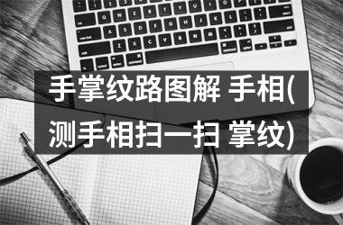 <h3>手掌纹路图解 手相(测手相扫一扫 掌纹)