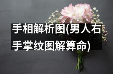 <h3>手相解析图(男人右手掌纹图解算命)
