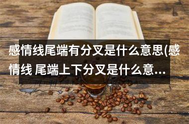 <h3>感情线尾端有分叉是什么意思(感情线 尾端上下分叉是什么意思)