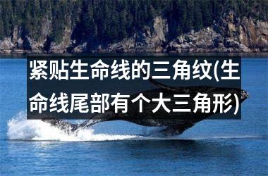 紧贴生命线的三角纹(生命线尾部有个大三角形)