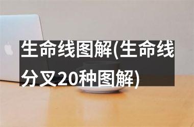 <h3>生命线图解(生命线分叉20种图解)