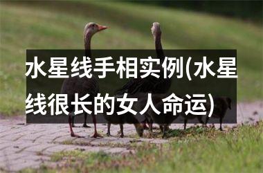 水星线手相实例(水星线很长的女人命运)
