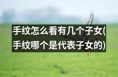 手纹怎么看有几个子女(手纹哪个是代表子女的)