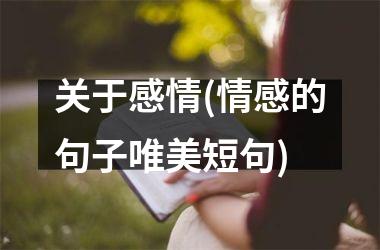 关于感情(情感的句子唯美短句)