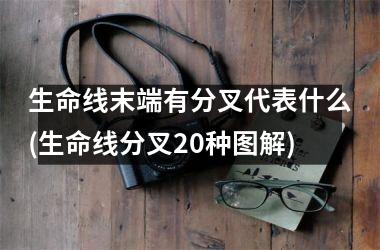 <h3>生命线末端有分叉代表什么(生命线分叉20种图解)