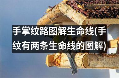 手掌纹路图解生命线(手纹有两条生命线的图解)